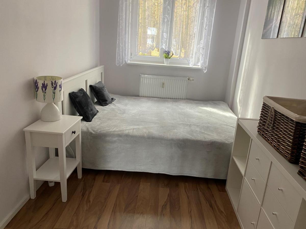 Radzyń Apartament Wiewiorka מראה חיצוני תמונה